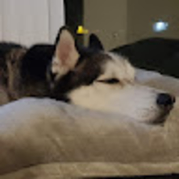 Meet your Posher, Lucille - Picture 1 of 1